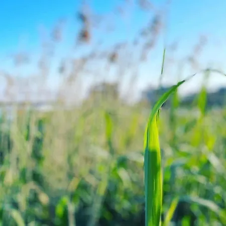 Prázdninový dům Bianca Am Göhren-Lebbin