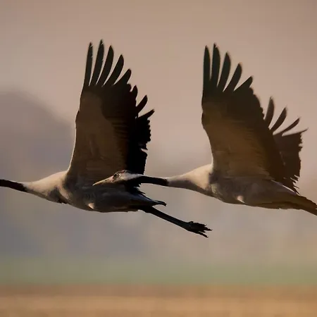 Prázdninový dům Bianca Am